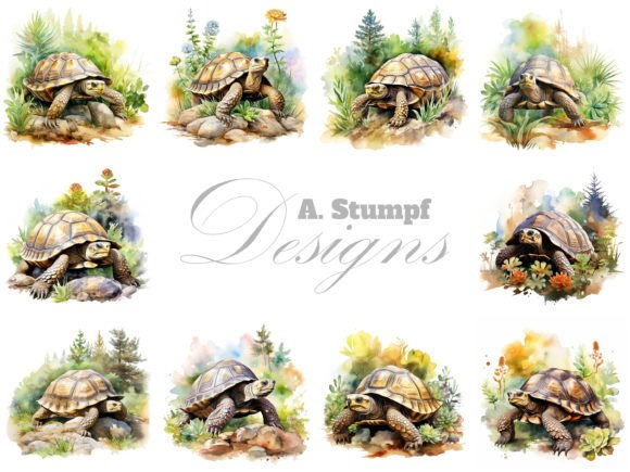 Download Tortoise Clipart Watercolor Animals Set - Animals Collection