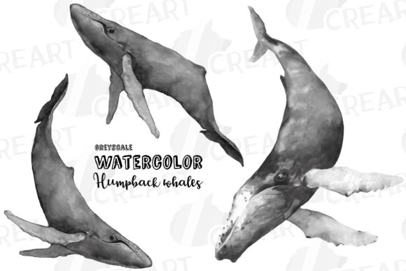 Download Humpback Whale Grayscale Printable Decor - Printable decor Collection